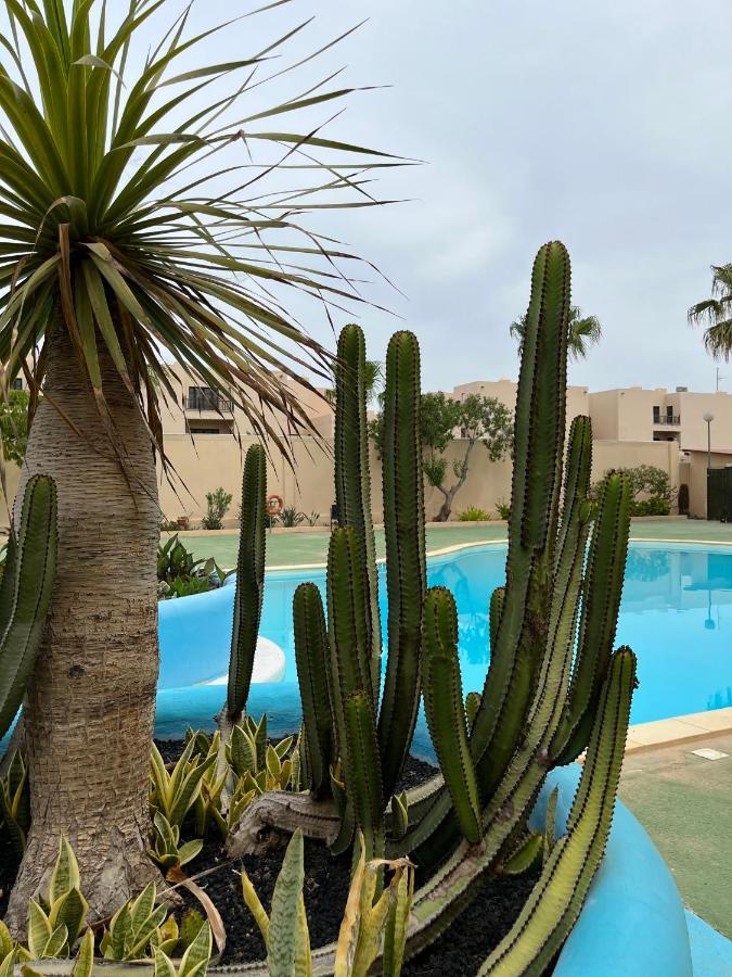 Surf & Chill Bungalow 69, Quiet Green Oasis With Community Swimmingpool Парке-Оландес Экстерьер фото
