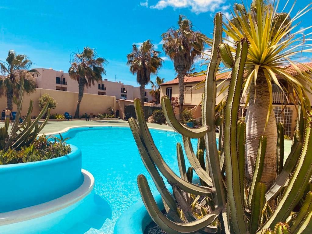 Surf & Chill Bungalow 69, Quiet Green Oasis With Community Swimmingpool Парке-Оландес Экстерьер фото